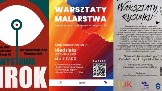 Wystawa MROK 2024 peHa